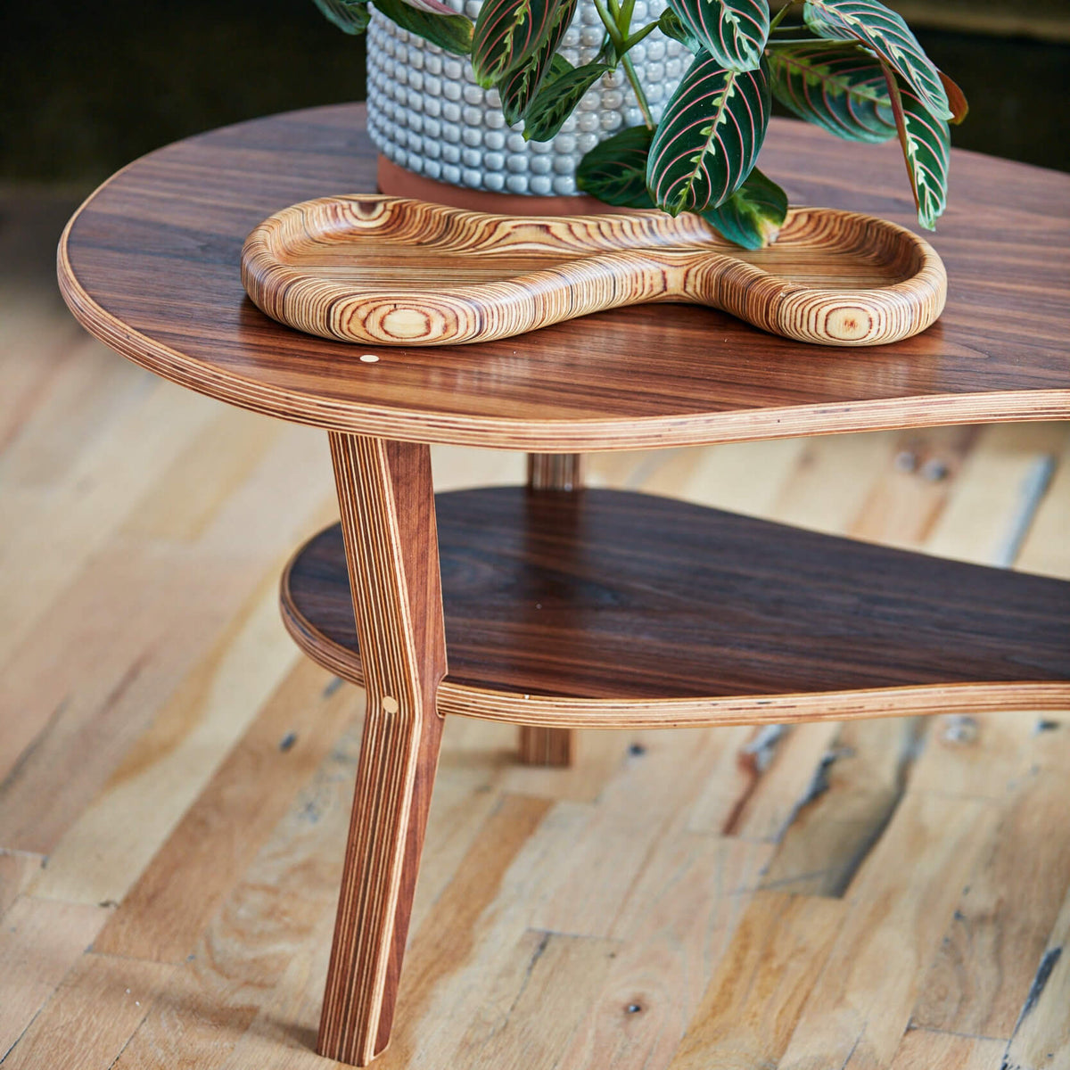 Walnut cocktail table closeup with layered-birch tray, potted maranta plant, lower shelf, hardwood floor