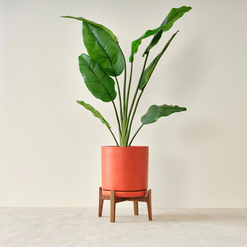 Mid-century walnut plant stand holding terracotta pot with leafy green plant, front view