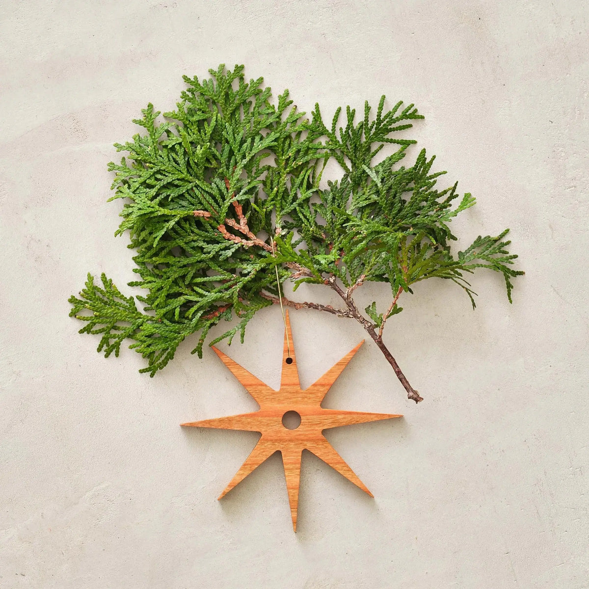 Cherry starburst ornament, eight-point star beneath fresh green cedar branch