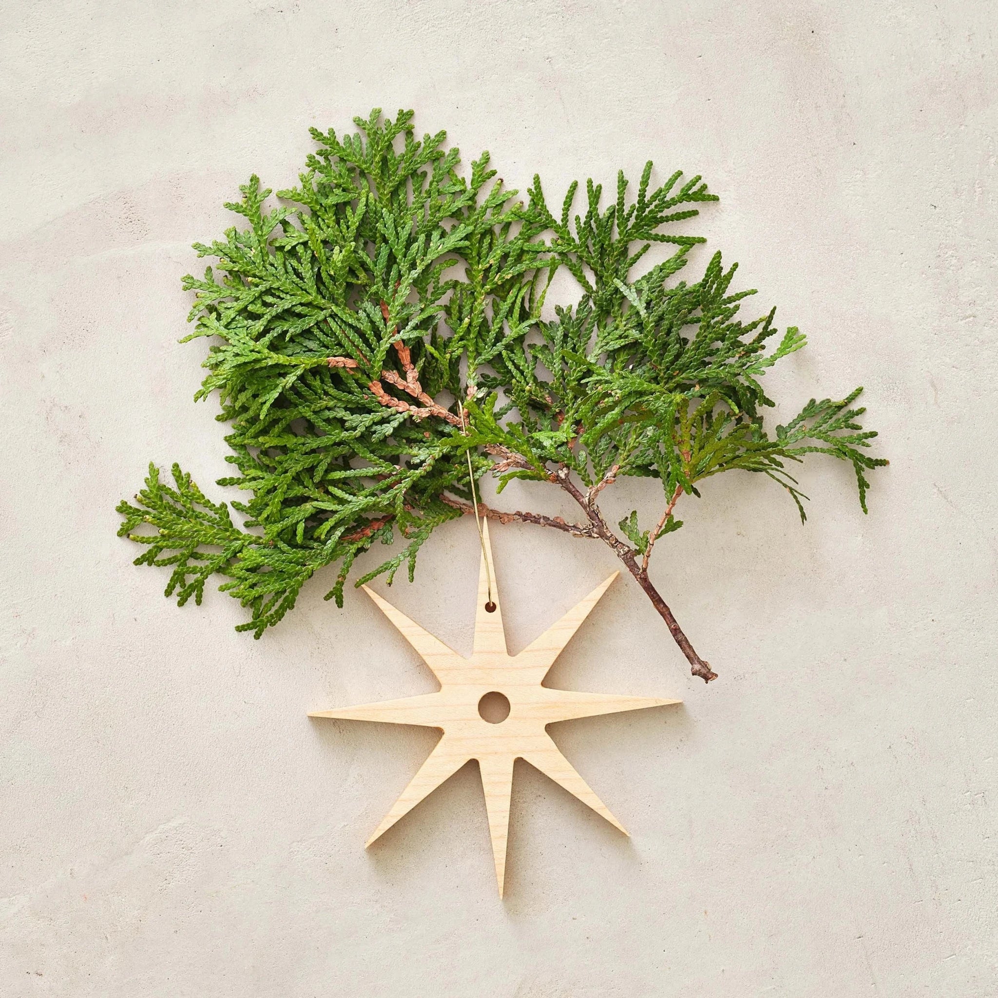 Pale maple starburst ornament, eight-pointed star with cedar sprig on neutral wall