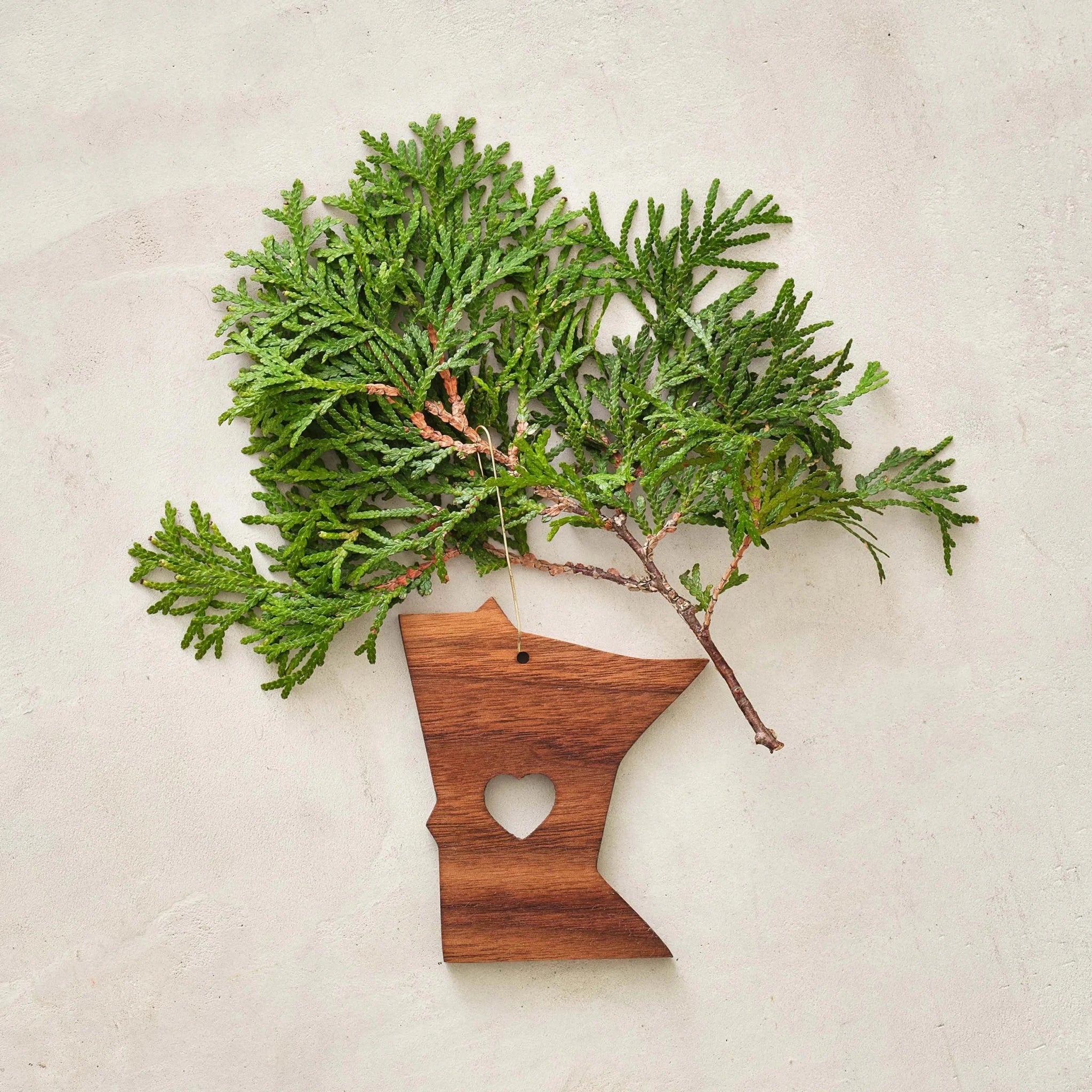 Walnut Minnesota ornament with heart cutout, cedar sprig above on plaster wall