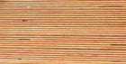 Baltic birch