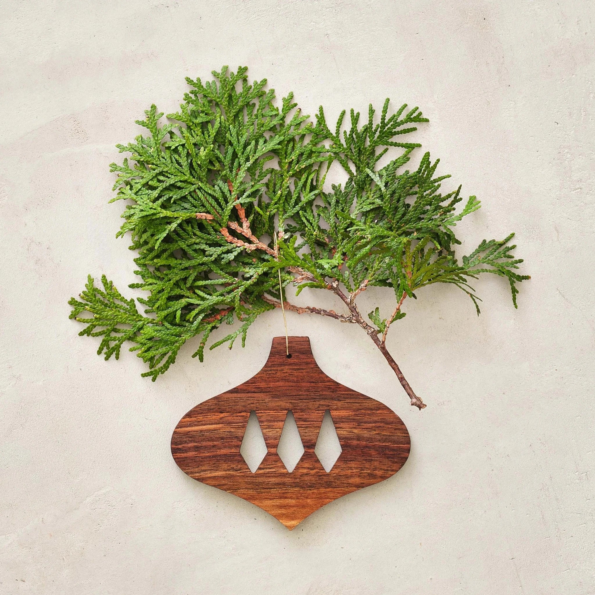 Walnut bulb ornament, diamond cutouts, paired with fresh green cedar branch