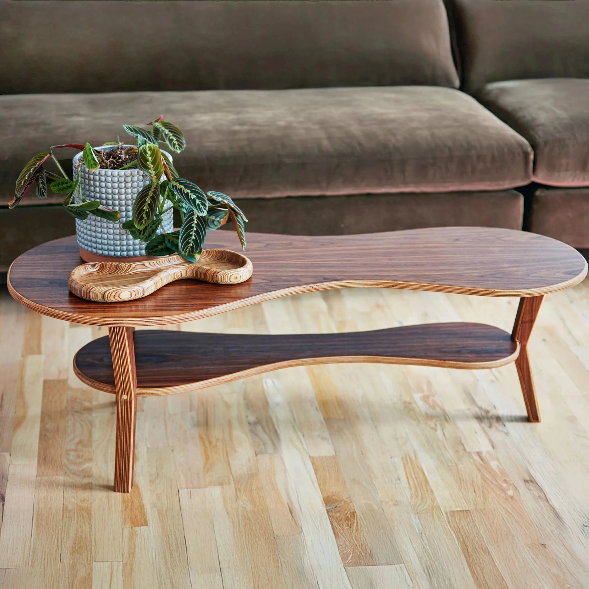 Walnut organic kidney-shaped Cocktail Table, plant in gray pot, wood tray, velvet sofa