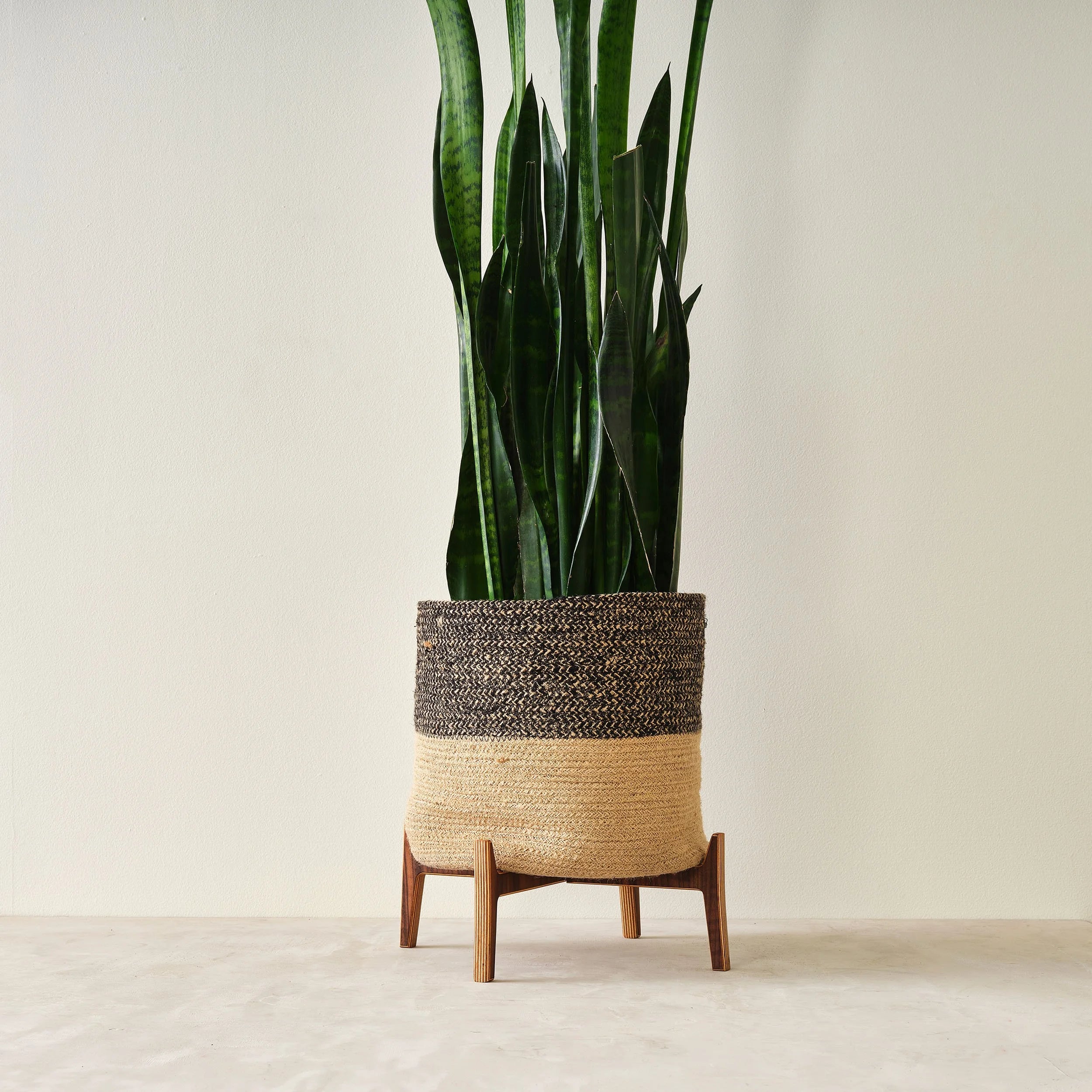 Plant Stand (Outlet)