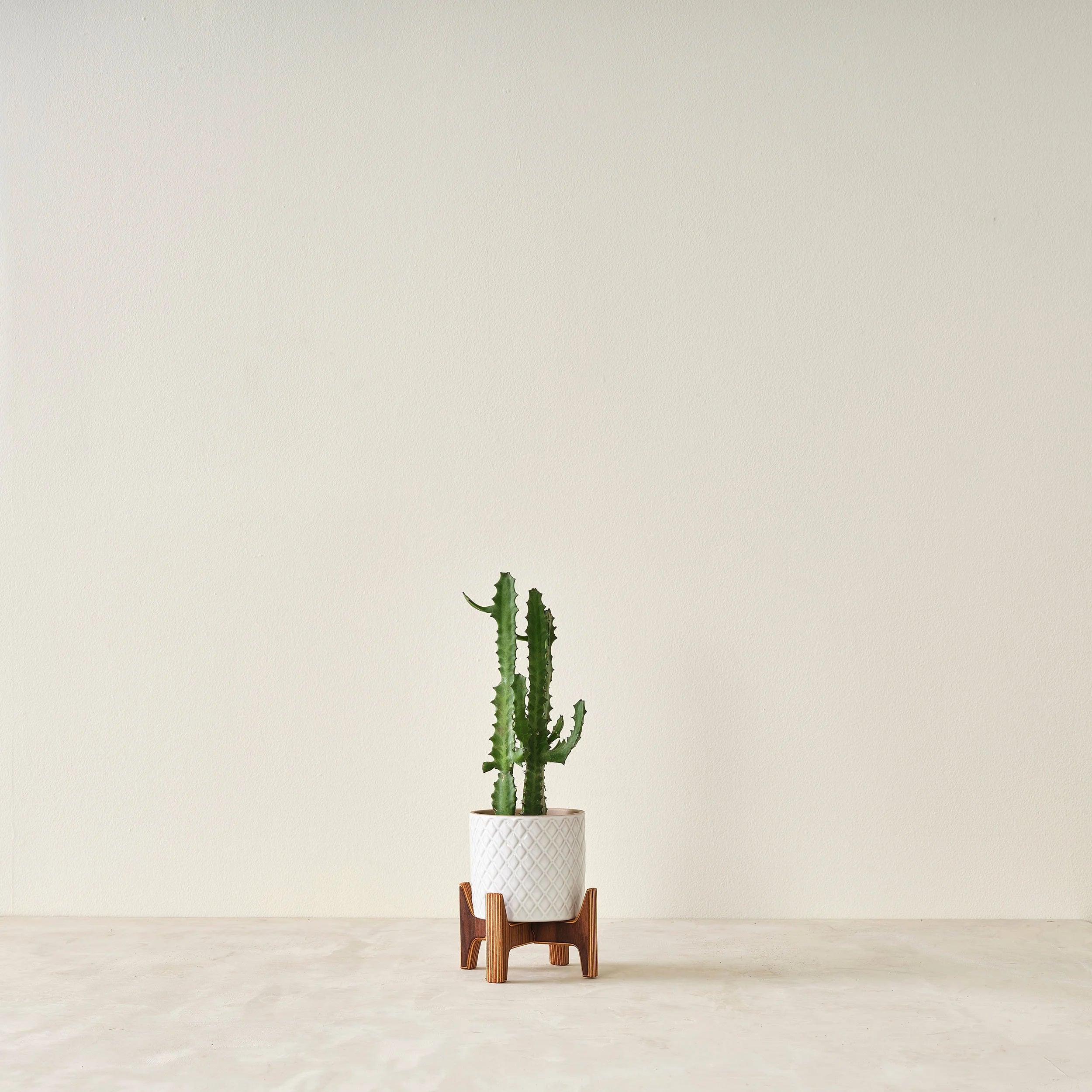 Plant Stand (Outlet)