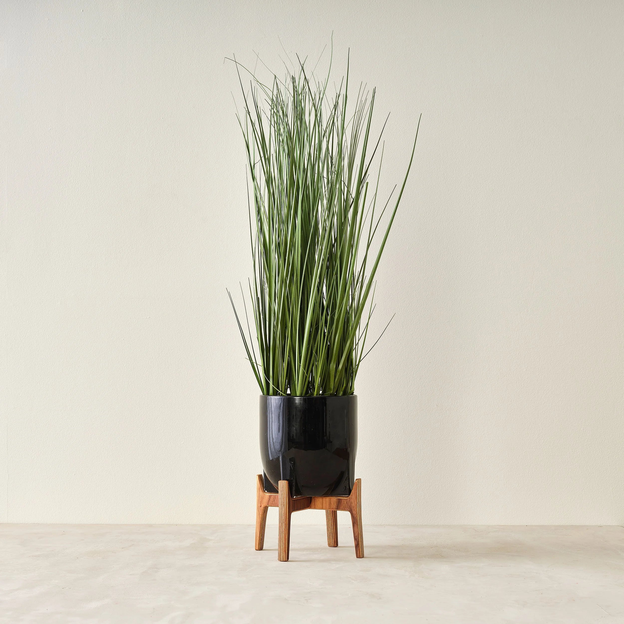Plant Stand (Outlet)