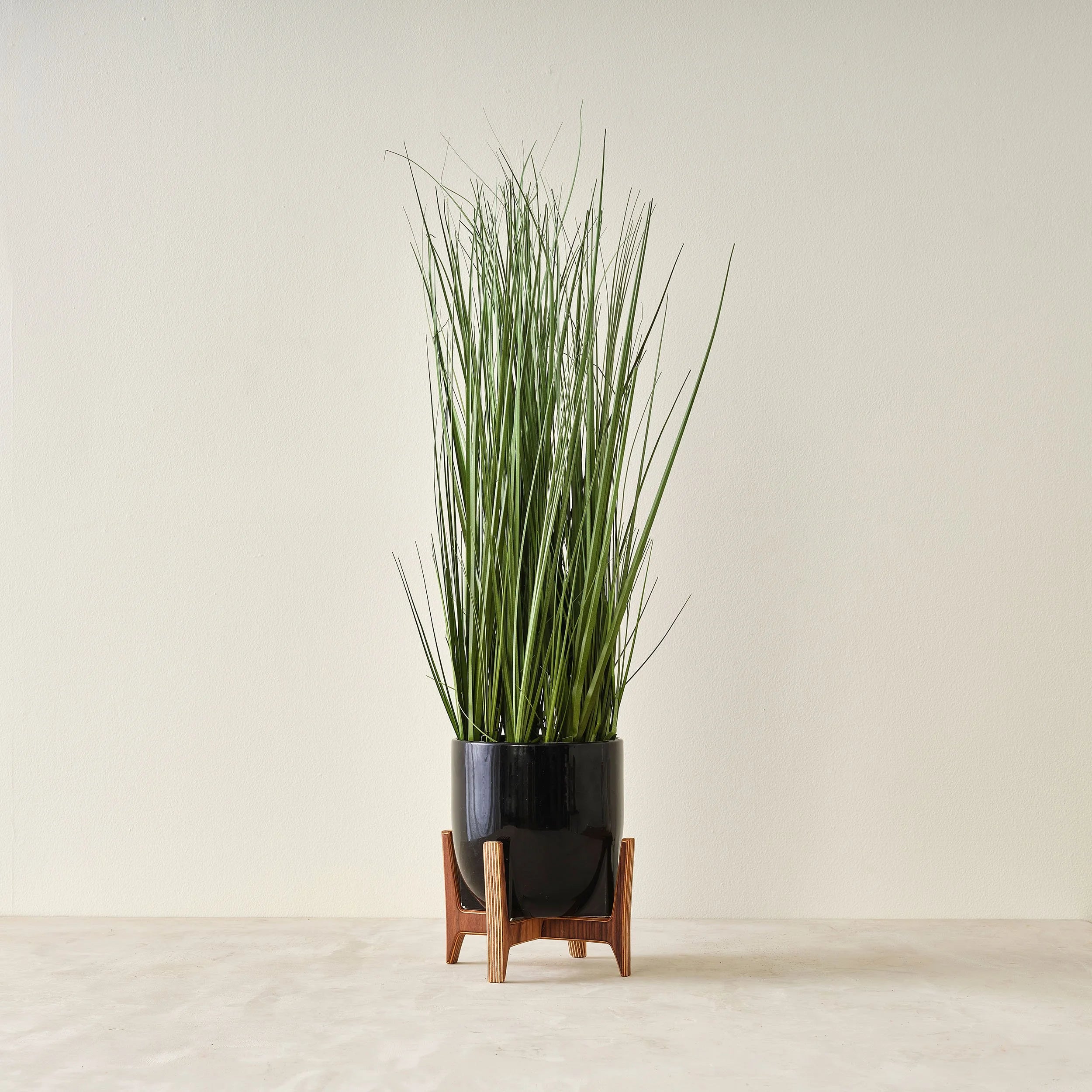 Plant Stand (Outlet)