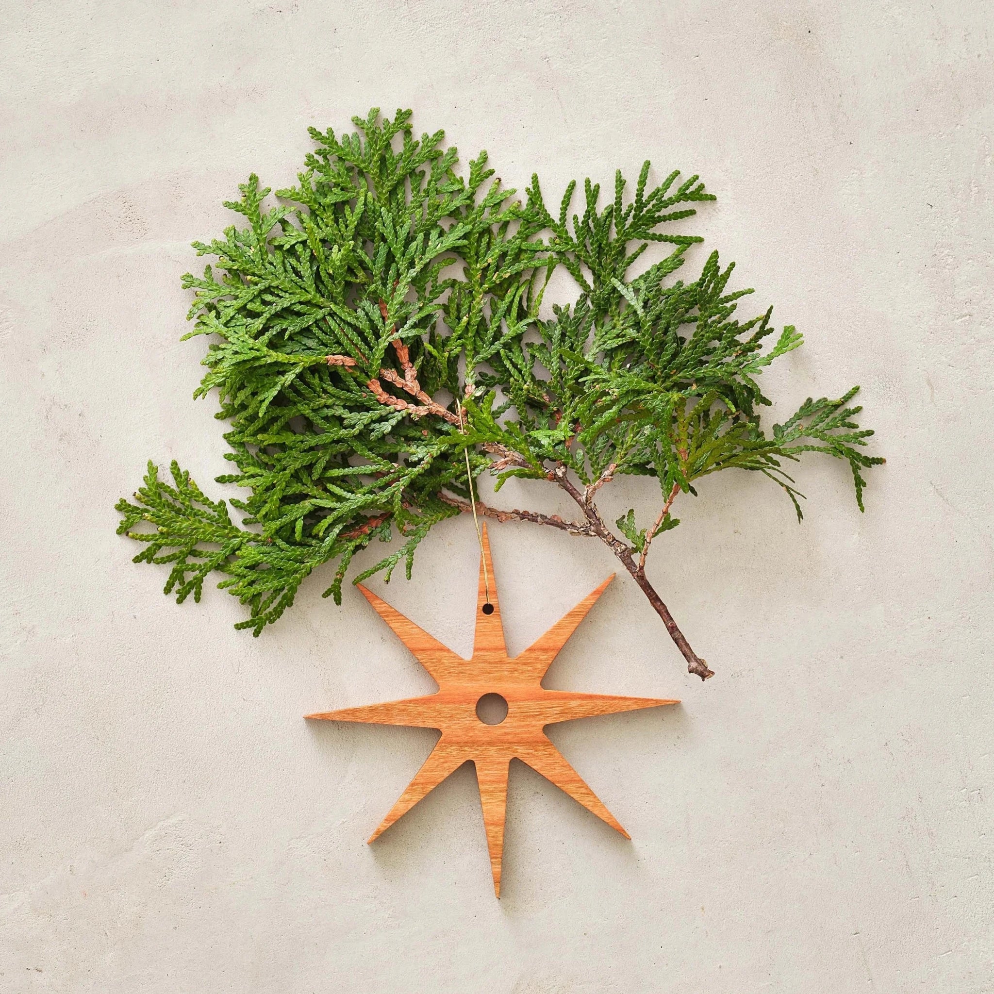 Cherry starburst ornament, eight-point star beneath fresh green cedar branch